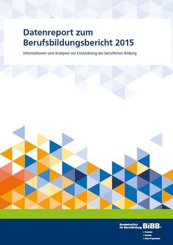 Datenreport zum Berufsbildungsbericht 2015 von Friedrich,  Michael