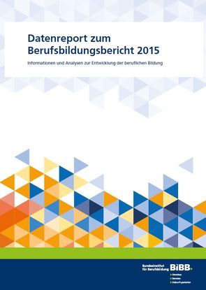 Datenreport zum Berufsbildungsbericht 2015 von Friedrich,  Michael