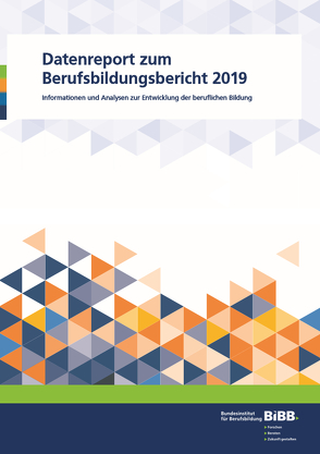 Datenreport zum Berufsbildungsbericht 2019