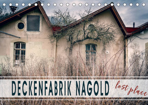 Deckenfabrik Nagold – lost place (Tischkalender 2022 DIN A5 quer) von Schöb,  Monika