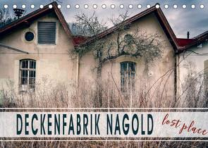 Deckenfabrik Nagold – lost place (Tischkalender 2023 DIN A5 quer) von Schöb,  Monika