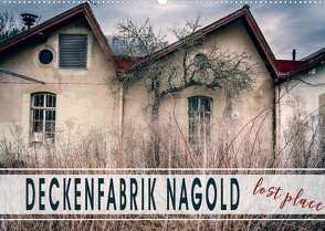 Deckenfabrik Nagold – lost place (Wandkalender 2022 DIN A2 quer) von Schöb,  Monika