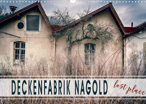 Deckenfabrik Nagold – lost place (Wandkalender 2022 DIN A3 quer) von Schöb,  Monika