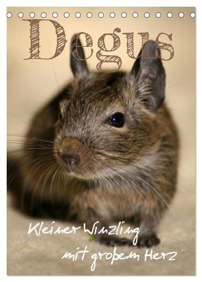 Degus – Winzlinge mit großem Herz (Tischkalender 2024 DIN A5 hoch), CALVENDO Monatskalender von Tapper,  Daniela