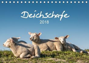 Deichschafe (Tischkalender 2018 DIN A5 quer) von Giesers,  Stephan