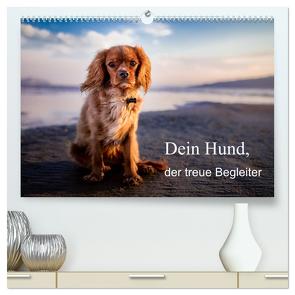 Dein Hund der treue Begleiter (hochwertiger Premium Wandkalender 2024 DIN A2 quer), Kunstdruck in Hochglanz von Gayde,  Frank