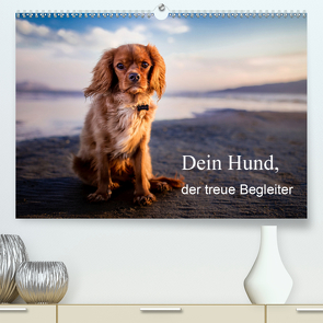 Dein Hund der treue Begleiter (Premium, hochwertiger DIN A2 Wandkalender 2020, Kunstdruck in Hochglanz) von Gayde,  Frank