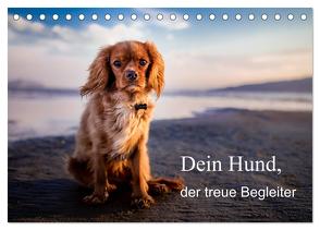 Dein Hund der treue Begleiter (Tischkalender 2024 DIN A5 quer), CALVENDO Monatskalender von Gayde,  Frank