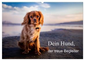 Dein Hund der treue Begleiter (Wandkalender 2024 DIN A2 quer), CALVENDO Monatskalender von Gayde,  Frank