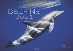 Delfine 2021 von Ziltener,  Angela