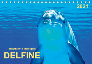 Delfine – elegant und intelligent (Tischkalender 2021 DIN A5 quer) von Roder,  Peter