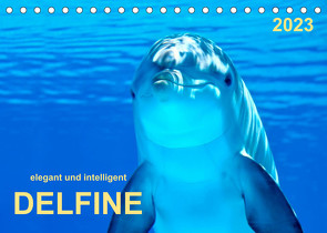 Delfine – elegant und intelligent (Tischkalender 2023 DIN A5 quer) von Roder,  Peter