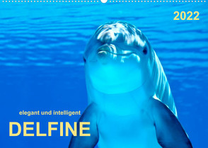 Delfine – elegant und intelligent (Wandkalender 2022 DIN A2 quer) von Roder,  Peter