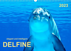 Delfine – elegant und intelligent (Wandkalender 2023 DIN A3 quer) von Roder,  Peter