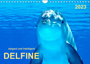 Delfine – elegant und intelligent (Wandkalender 2023 DIN A4 quer) von Roder,  Peter