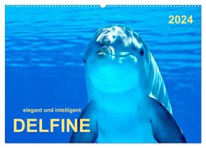 Delfine – elegant und intelligent (Wandkalender 2024 DIN A2 quer), CALVENDO Monatskalender von Roder,  Peter