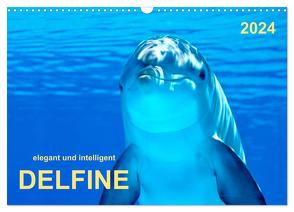 Delfine – elegant und intelligent (Wandkalender 2024 DIN A3 quer), CALVENDO Monatskalender von Roder,  Peter