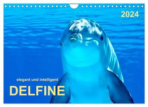 Delfine – elegant und intelligent (Wandkalender 2024 DIN A4 quer), CALVENDO Monatskalender von Roder,  Peter