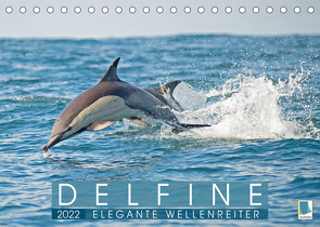 Delfine: Elegante Wellenreiter (Tischkalender 2022 DIN A5 quer) von CALVENDO