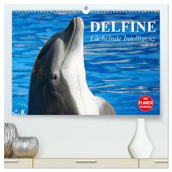Delfine – Lächelnde Intelligenz (hochwertiger Premium Wandkalender 2024 DIN A2 quer), Kunstdruck in Hochglanz von Stanzer,  Elisabeth