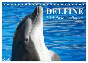 Delfine – Lächelnde Intelligenz (Tischkalender 2024 DIN A5 quer), CALVENDO Monatskalender von Stanzer,  Elisabeth