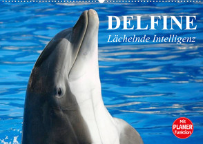 Delfine – Lächelnde Intelligenz (Wandkalender 2023 DIN A2 quer) von Stanzer,  Elisabeth