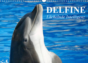 Delfine – Lächelnde Intelligenz (Wandkalender 2023 DIN A3 quer) von Stanzer,  Elisabeth