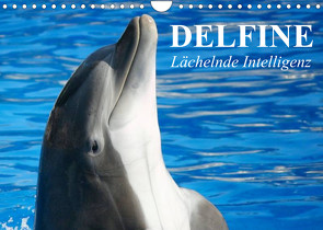 Delfine – Lächelnde Intelligenz (Wandkalender 2023 DIN A4 quer) von Stanzer,  Elisabeth