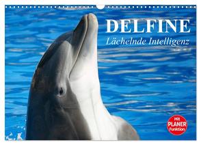 Delfine – Lächelnde Intelligenz (Wandkalender 2024 DIN A3 quer), CALVENDO Monatskalender von Stanzer,  Elisabeth
