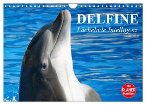 Delfine – Lächelnde Intelligenz (Wandkalender 2024 DIN A4 quer), CALVENDO Monatskalender von Stanzer,  Elisabeth
