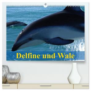 Delfine und Wale (hochwertiger Premium Wandkalender 2024 DIN A2 quer), Kunstdruck in Hochglanz von Stanzer,  Elisabeth