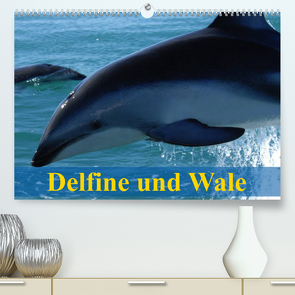 Delfine und Wale (Premium, hochwertiger DIN A2 Wandkalender 2023, Kunstdruck in Hochglanz) von Stanzer,  Elisabeth