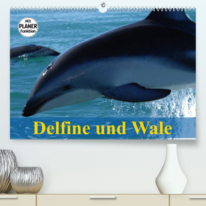 Delfine und Wale (Premium, hochwertiger DIN A2 Wandkalender 2023, Kunstdruck in Hochglanz) von Stanzer,  Elisabeth