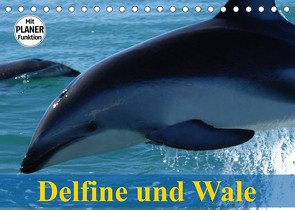 Delfine und Wale (Tischkalender 2023 DIN A5 quer) von Stanzer,  Elisabeth