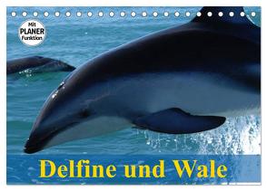 Delfine und Wale (Tischkalender 2024 DIN A5 quer), CALVENDO Monatskalender von Stanzer,  Elisabeth