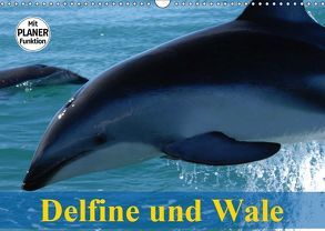 Delfine und Wale (Wandkalender 2019 DIN A3 quer) von Stanzer,  Elisabeth