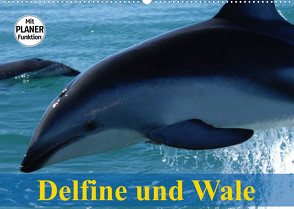Delfine und Wale (Wandkalender 2023 DIN A2 quer) von Stanzer,  Elisabeth