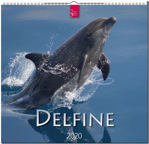 Delfine von Redaktion Verlagshaus Würzburg,  Bildagentur