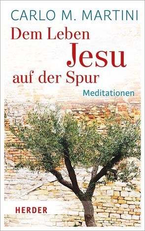 Dem Leben Jesu auf der Spur von Kritzenberger,  Silvia, Martini,  Carlo M