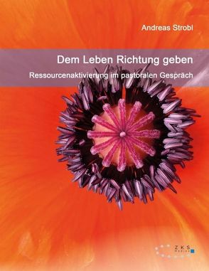 Dem Leben Richtung geben – Ressourcenaktivierung im pastoralen Gespräch von Strobl,  Andreas