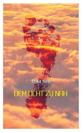 Dem Licht zu nah von Noll,  Erika