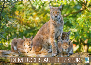 Dem Luchs auf der Spur (Wandkalender 2022 DIN A2 quer) von CALVENDO