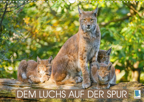 Dem Luchs auf der Spur (Wandkalender 2022 DIN A3 quer) von CALVENDO