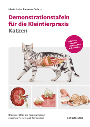 Demonstrationstafeln für die Kleintierpraxis Katzen von Palmero Colado,  María Luisa