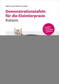 Demonstrationstafeln für die Kleintierpraxis Katzen von Palmero Colado,  María Luisa