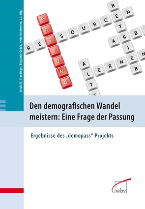 Den demografischen Wandel meistern: Eine Frage der Passung von Godde,  Benjamin, Heidemeier,  Heike, Staudinger,  Ursula M.