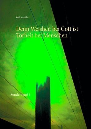 Denn Weisheit bei Gott ist Torheit bei Menschen von Seinsche,  Rudi