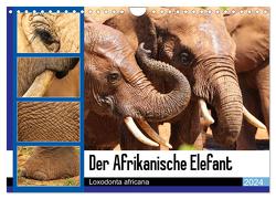 Der Afrikanische Elefant – Loxodonta africana (Wandkalender 2024 DIN A4 quer), CALVENDO Monatskalender von Fraatz,  Barbara