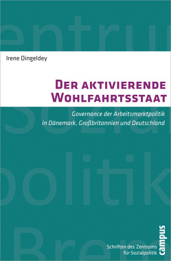 Der aktivierende Wohlfahrtsstaat von Dingeldey,  Irene