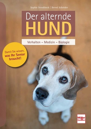 Der alternde Hund von Schroeder,  Bernd, Strodtbeck,  Sophie